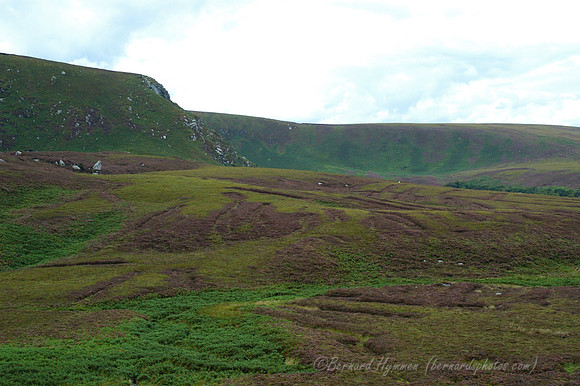 D70_054102004-08-21_01