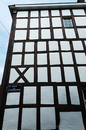 D70_17642
