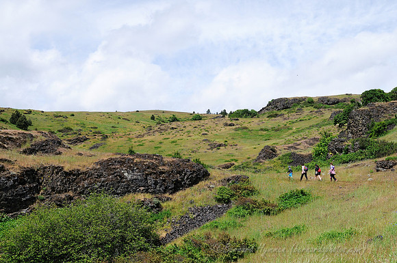 D300_96190