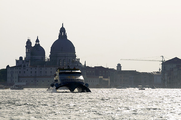 D300_44925.jpg