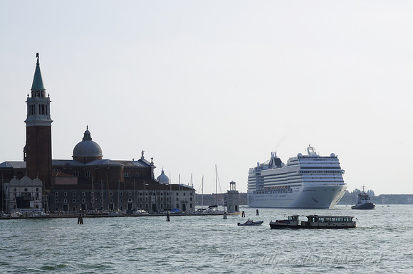 D300_44936.jpg