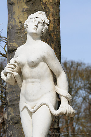 D300_85647