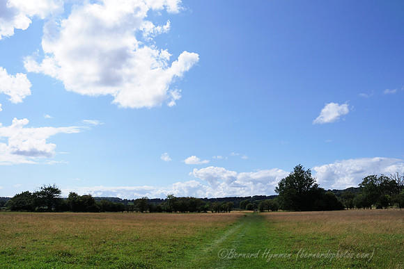 D300_99694