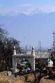 D300_70442