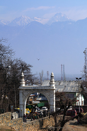D300_70442