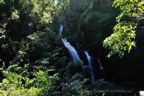 D300_58509
