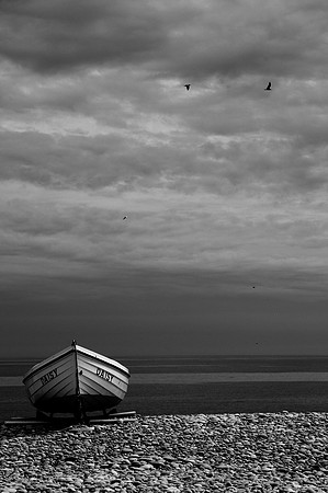 D300_100329