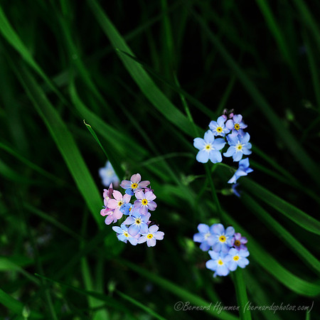D300_96017