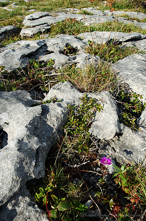 D70_059842004-08-23_01