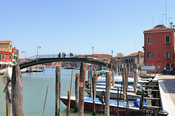 D300_44844.jpg