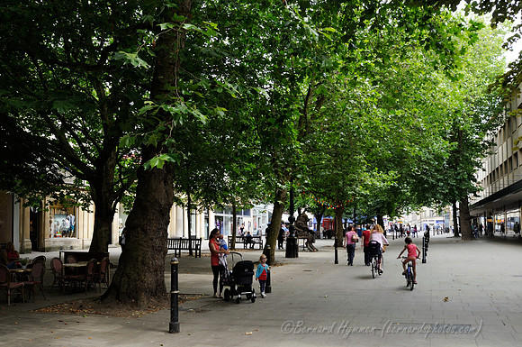 D300_98969