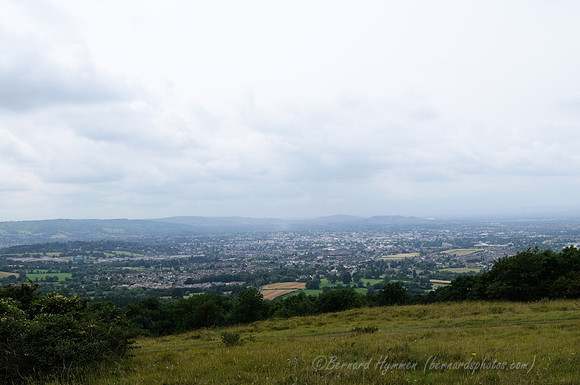 D300_99023