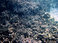 SD800_58602