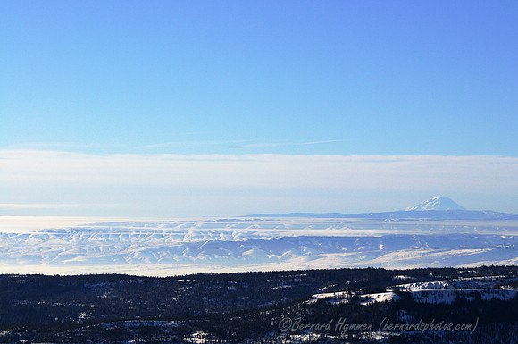 D300_59655