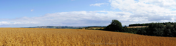 pano_D300_99642-99646
