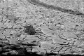 D300_45846.jpg