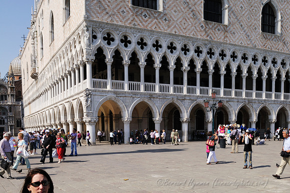 D300_44565.jpg