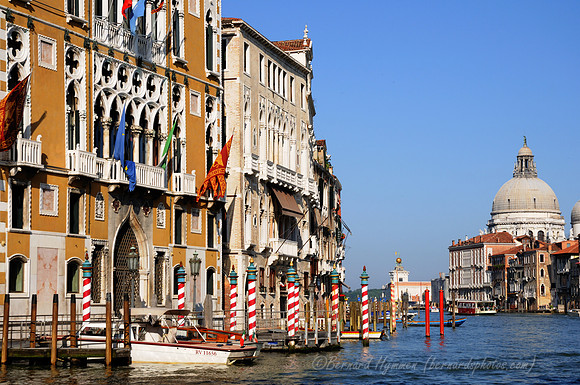 D300_45695.jpg