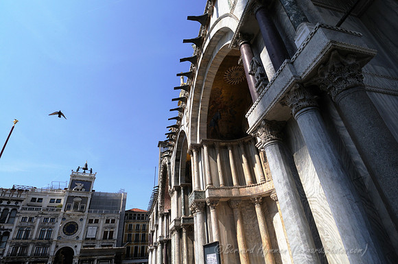D300_44545.jpg
