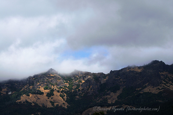 D300_56384