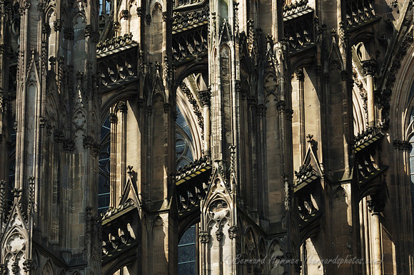 D70_17544