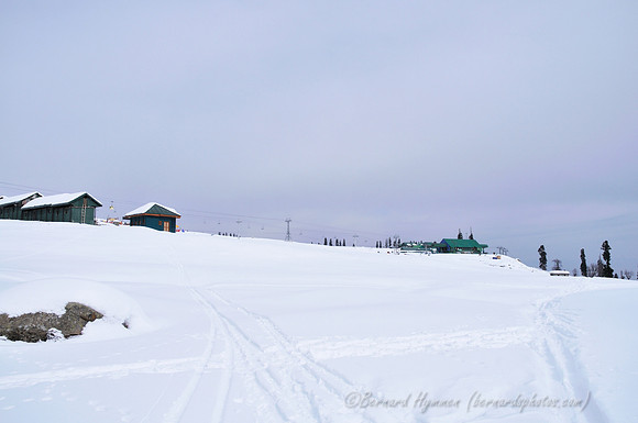 D300_69332