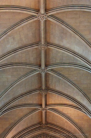 D70_053392004-08-21_01