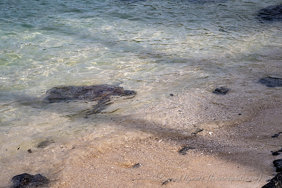 Z8_189913
