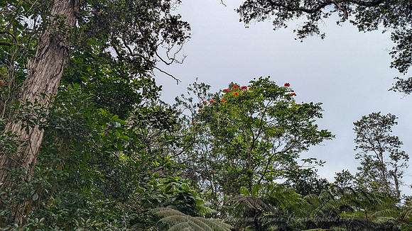 PXL_20251105_231228130.MP