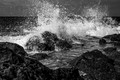 Z8_190177