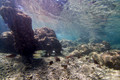 SL3_191457