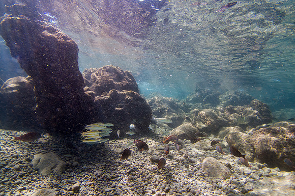 SL3_191457