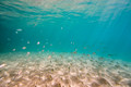 SL3_191486