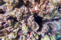 SL3_191646