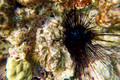 SL3_191647