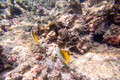 SL3_191658
