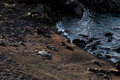 Z8_190677