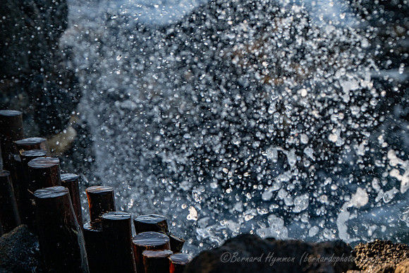 Z8_190865
