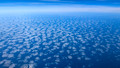 PXL_20251114_004059602