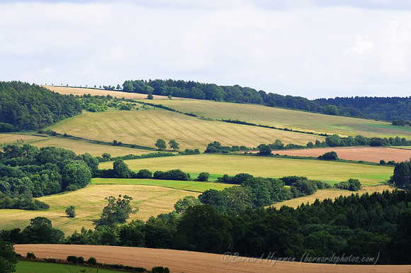 D300_99090
