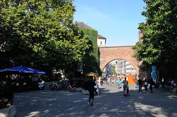 D300_73612