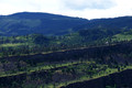 D300_96237