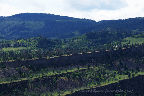 D300_96237