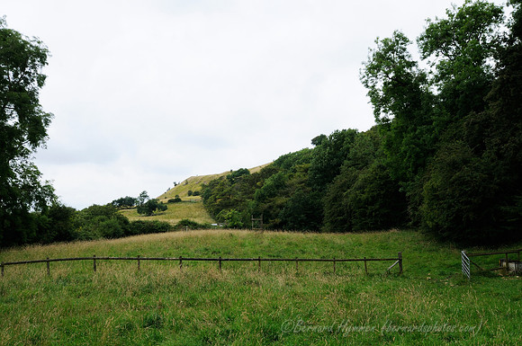 D300_99019