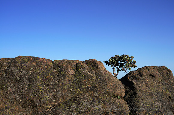 D300_32111