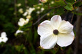 D300_95970