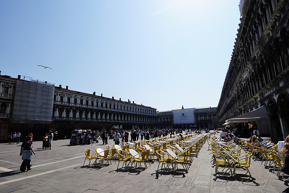 D300_44540.jpg