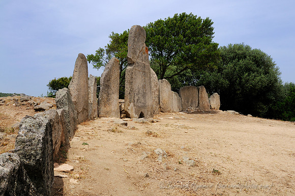 D300_47249.jpg