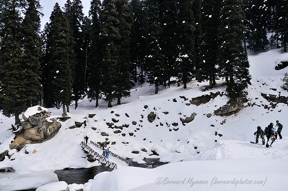D300_69398