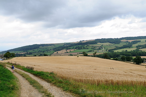 D300_99089
